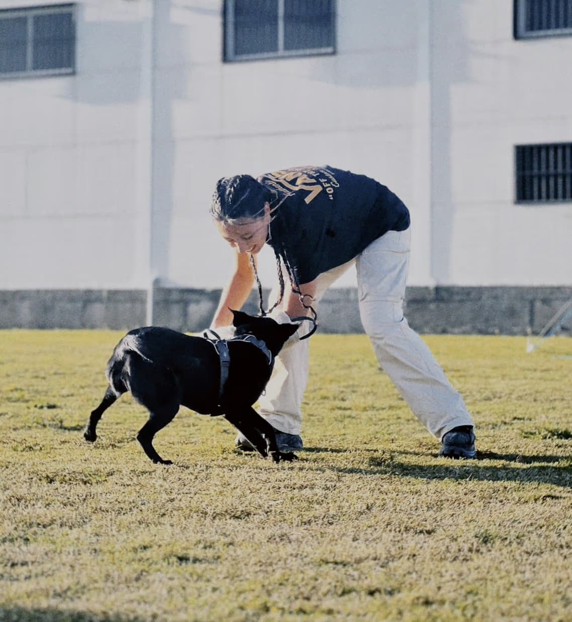Entrenador trabajando con un perro
